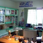A look into an otaku's room